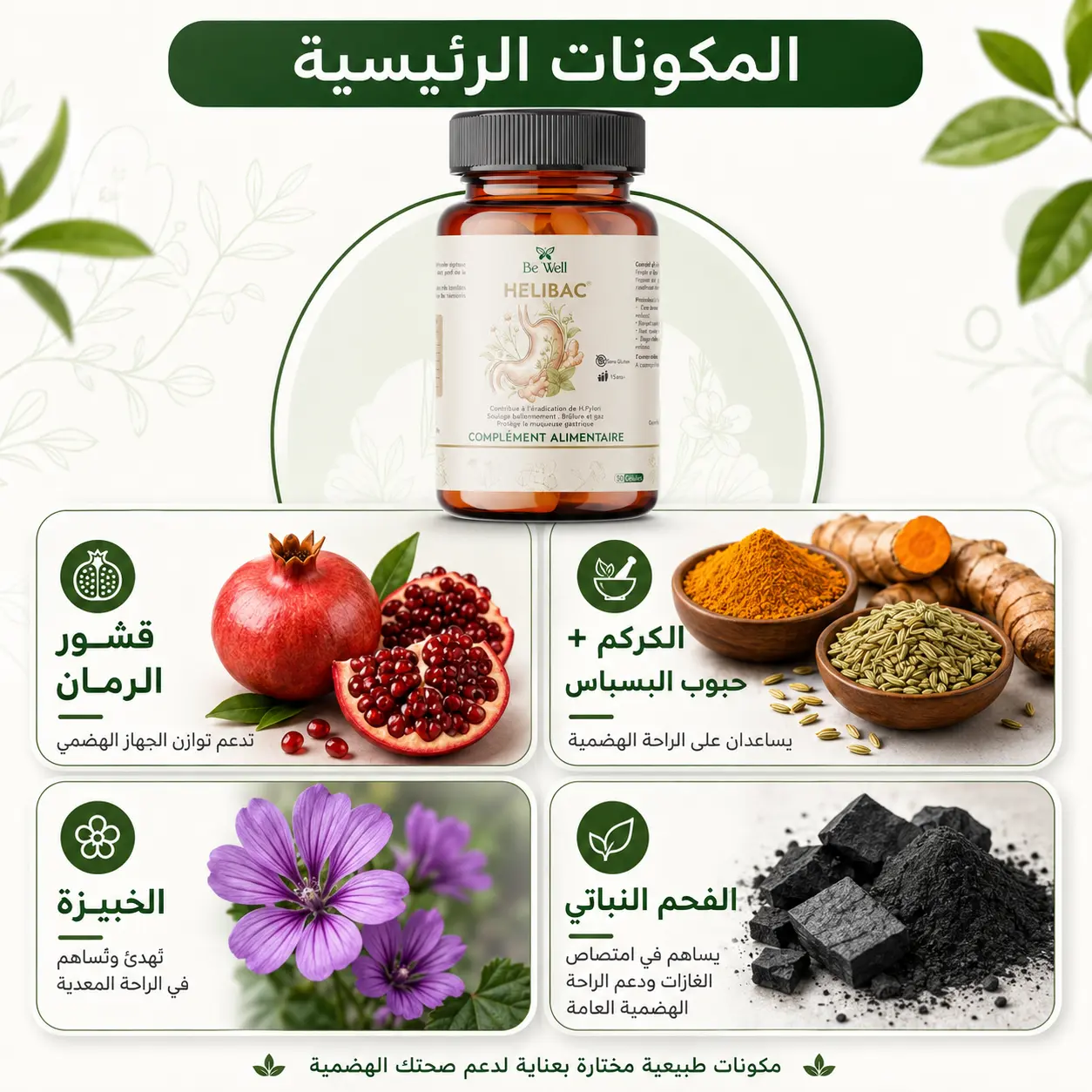 المكونات الرئيسية في HELIBAC